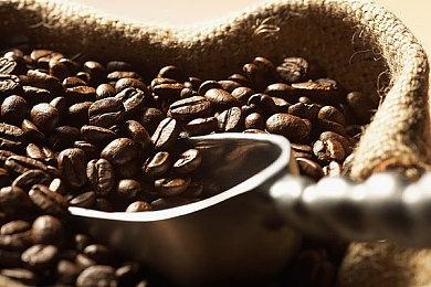 《塞尔达传说》汀空的创造者：角色现在看起来很恶心