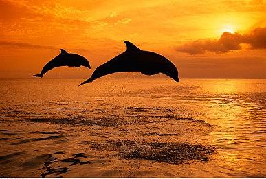 《暗黑4》官方活动：抽奖送家政服务让玩家安心肝