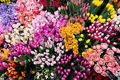 游戏动画电影《DEEMO Memorial Keys》60秒PV 本月上映